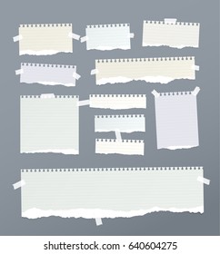 Pieces of ripped ruled, note, notebook, copybook paper strips, sheets stuck with sticky tape.