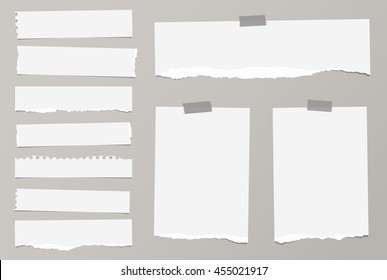 Pieces of ripped white blank notebook paper are stuck with sticky tape on gray background