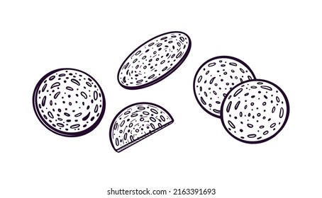 Pieces of salami sausage. Hand drawn vector gastronomy illustration, for cafe, menu, cuisine, cosmetics. Meat product