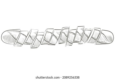 Pieces of sliced baguette. White long loaf French baked bread. Slices and crumbs. Logo, icon. Vector Sketch realistic line vintage illustration. Top view