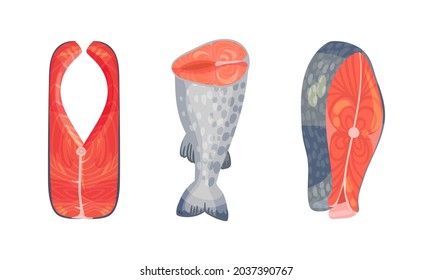 Pieces and steaks of salmon fish set. Natural organic sea product vector illustration