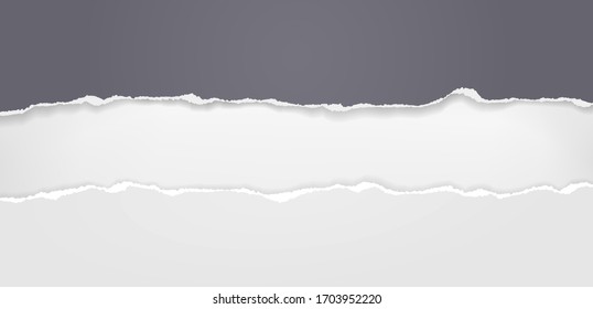 Pieces of torn black horizontal paper with soft shadow stuck on white background. Vector illustration