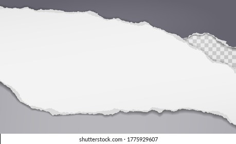 Pieces of torn and horizontal white and dark grey paper with soft shadow are on squared background for text. Vector illustration