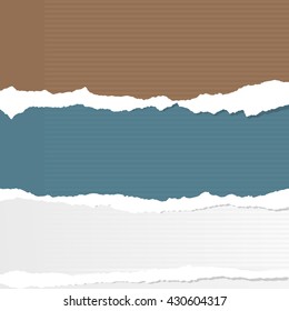 Pieces of torn lined colorful and white paper sheets are stuck on gray background.