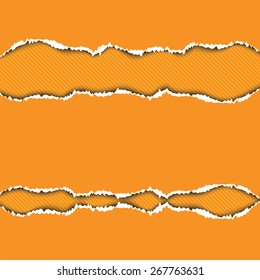 Pieces of torn orange paper. Vector illustration.