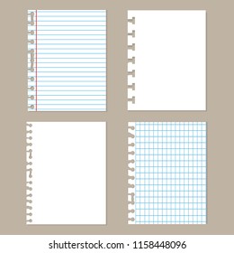 Pieces of torn paper.Set of different notebook paper. School sheets. Vector