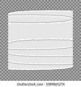 Pieces of torn paper on a transparent background. Vector illustration for your design.