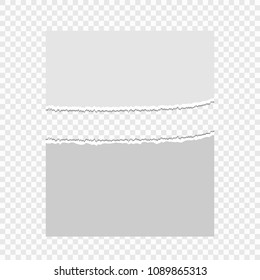 Pieces of torn paper on a transparent background. Vector illustration for your design.