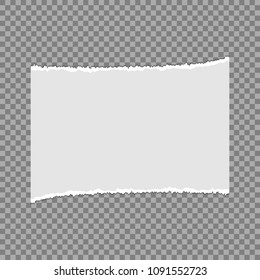 Pieces of torn paper on a transparent background. Vector illustration for your design.