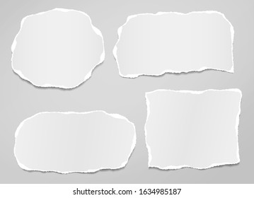 Pieces of torn, ripped and white paper with soft shadow are on grey background for text. Vector illustration