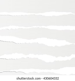 Pieces of torn white blank lined paper sheets are stuck on gray background.