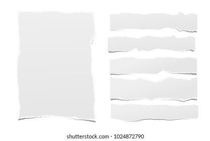 Pieces of torn white blank note, notebook paper strips for text