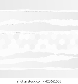 Pieces of torn white blank paper are stuck on gray pattern