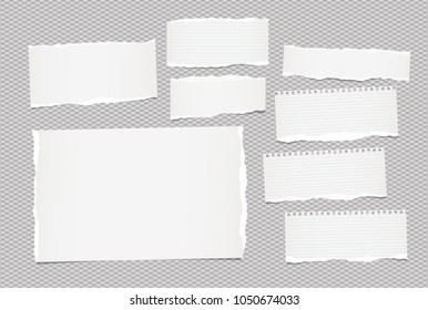 Pieces of torn white lined and blank note, notebook paper sheet for text stuck on squared gray background.