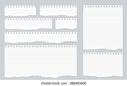 Pieces of torn white lined notebook paper on gray background