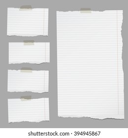 Pieces Of Torn White Lined Notebook Paper Are Stuck On Gray Background