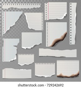 Pieces of torn white lined notebook paper square line rag white and burned page vector illustration.
