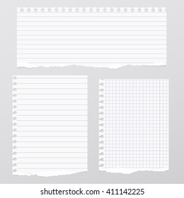 Pieces of torn white lined, squared notebook paper are stuck on gray background