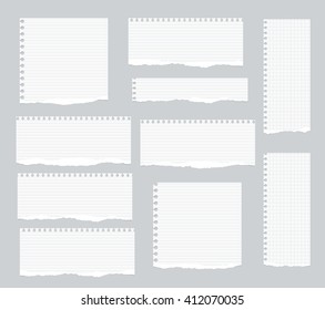 Pieces of torn white lined, squared notebook paper are stuck on gray background