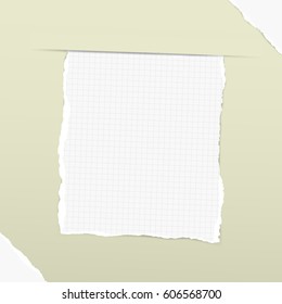 Pieces of torn white squared note, copybook, notebook sheet inserted into green background with white ripped paper in corners