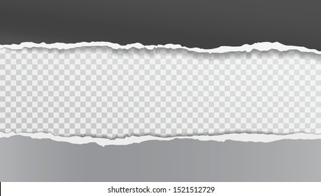 Pieces of torn, white squared realistic horizontal paper strips with soft shadow are on grey background. Vector illustration