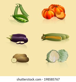 pieces of vegetables: peas, cabbage, potatoes, corn with reflection and shadow