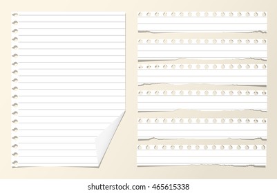 Pieces of white ruled blank notebook paper sheets