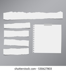 Pieces of white torn note, notebook paper sheets stuck on grey background