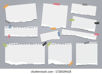 Pieces of white torn, ripped, lined note, notebook paper pieces with soft shadow are on squared background for text. Vector illustration