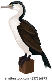 pied cormorant  perched on a wooden post - vector illustration