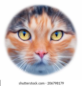 Piercing look into your soul of extremely beautiful cat female. Eye contact with widely open feline pupils. Amazing vector image in oval of white background. Great for user pic, icon, label, tattoo.