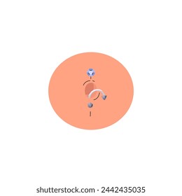 Piercing near the navel with a round and curved earring. Stylish body decoration in a round frame on an isolated background. Flat Vector illustration.