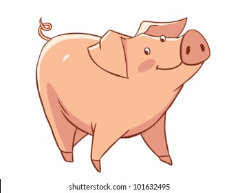 pig