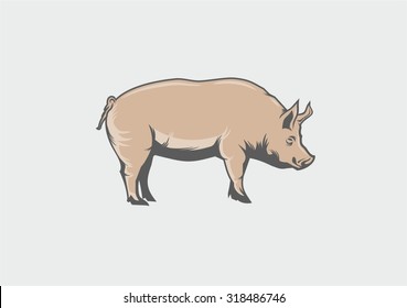 Pig