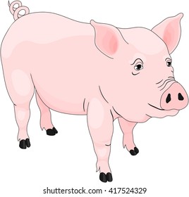 Pig