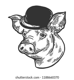 Pig animal in bowler hat engraving vector illustration. Scratch board style imitation. Black and white hand drawn image.