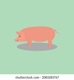 Pig Animal Cartoon Flat Vector