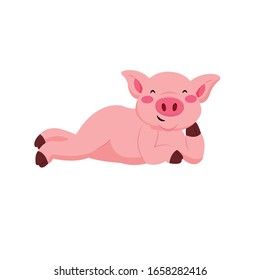 Pig Animal Cartoon Vector Illustration 