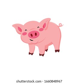 Pig Animal Cartoon Vector Illustration 