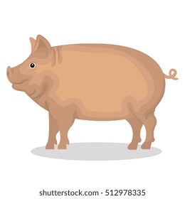 pig animal farm icon
