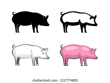 Pig animal icon set isolated on white background: silhouette, outline, sketch and color. Wild boar symbol of Chinese New Year 2019. Vector illustration