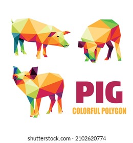 Pig Animal Set in Colorful Polygonal low poly. Pig Icon in Colorful abstract. Vector of Pig Collection