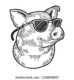 Pig animal in sunglasses sketch engraving vector illustration. Scratch board style imitation. Black and white hand drawn image.