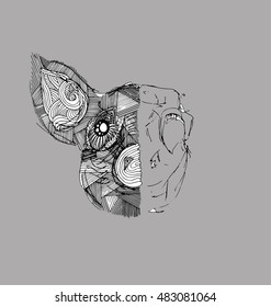 the pig animal with texture and half only skeleton hand drawn black outline isolated