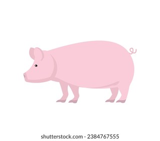 Pig animal, vector illustration Standing. Side view. Flat illustration. farming, agricultural species 