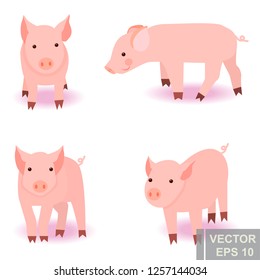 Pig. Animals For your design. Set. Cartoon character. Bright.