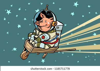 Pig astronaut rides on a wooden wheelbarrow. Comic cartoon pop art retro vector illustration