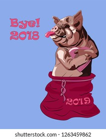pig in the bag, the symbol of the new year	
