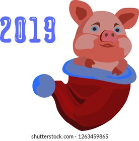 pig in the bag, the symbol of the new year	
