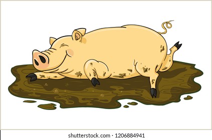 Pig is bathed in mud. Dirty muddy Contented pig